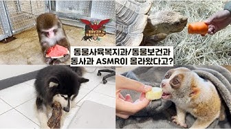 동물사육복지과 - YouTube 동물사육복지과 - Youtube