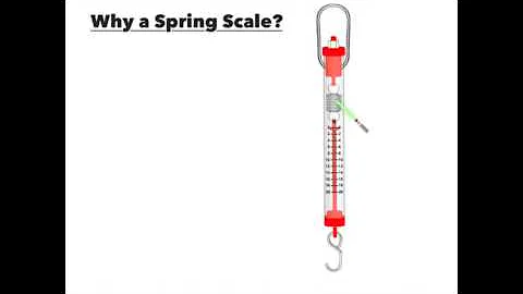 Using a Spring Scale