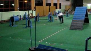 080109 agility treenit
