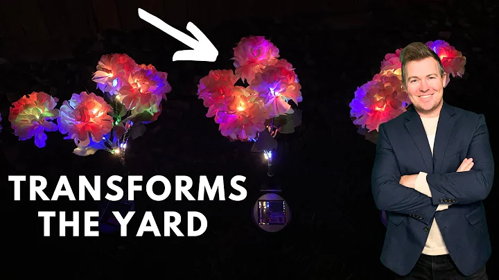 How This Set of Solar Flowers Transforms Your Yard