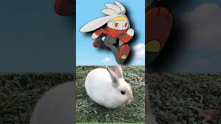 WTF is Raboot?| EVERY Pokémon Design Explained #pokemon #pokemoncards  #shorts