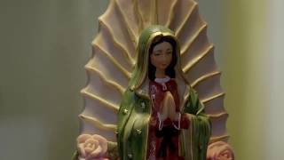 #LAROZA #Televisa #RCN #entretenimiento La rosa  #Guadalupe