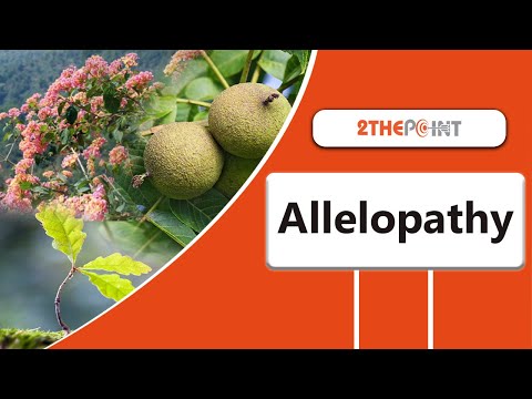 Allelopathy - Everything You Need To Know About it | 2THEPOINT