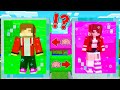 How JJ and Sister Girl Swap The Brains in Minecraft her VILLAGE?! - Maizen Minecraft JJ & Mikey