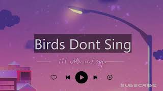 Birds Dont Sing 🎵 1H Music Loop