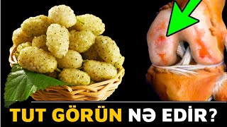 Tutun İnsana Nələr Etdiyini 90% İnsan Bilmir