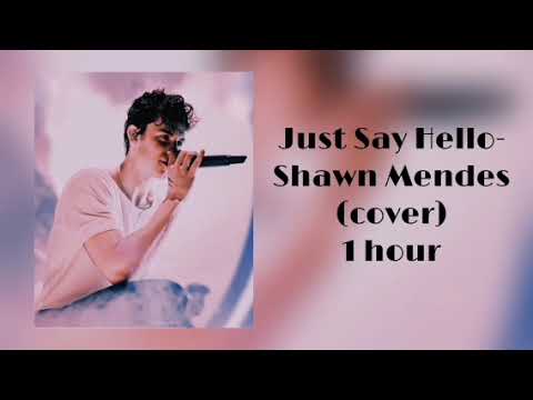 Shawn Mendes - Just Say Hello (cover) 1 hour [Chill in 1 Hour]