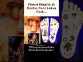 The Secret of Radha Rani’s Lotus Feet 🪷 | Hidden Divine Symbols Revealed#sanatandharma #radhakrishna