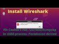 Fix couldnt run usrbindumpcap in child process permission