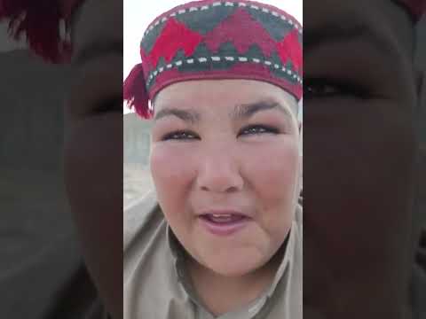 حبیب رحمان گلونه