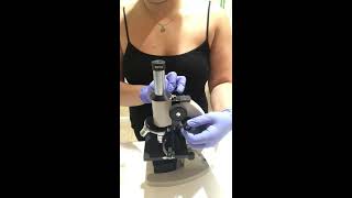 Lab Exercise | Microscopy for Microbiology: Use and Function - Part 1: Video Demonstration