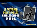 La Actividad Oculta de los Ángeles Caídos en la ONU