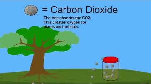 Impact of CO2 Capture on Carbon Emissions in 60 Seconds