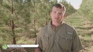 Get To Know Patrick Bie, Phd