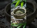 Calmer Canines, Happier Humans: Healthy Roots Hemp Treats! #shorts
