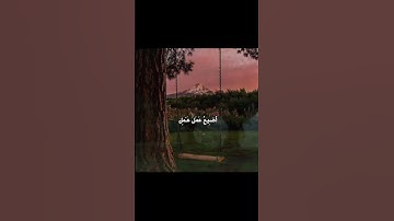 قران كريم 🍏 #explore #foryou #اكسبلور #قرآن #قران_كريم #تلاوة_خاشعة #راحة_نفسية #العراق
