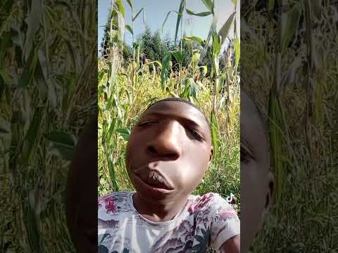 Unapatia Mtu Moyo Kumbe Anataka Matako Comedykenya Shorts Comedy Funny