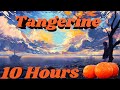 Glass Animals - Tangerine 10 HOURS ( HD )