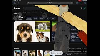 Famous Dog Easter egg on google Net Worth