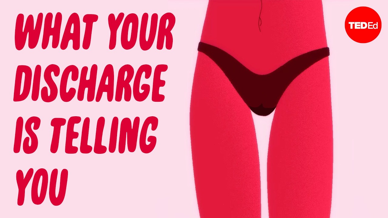 What is vaginal discharge and why does it happen? - Elizabeth Micks