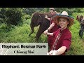 Elephant Rescue Park | Chiang Mai