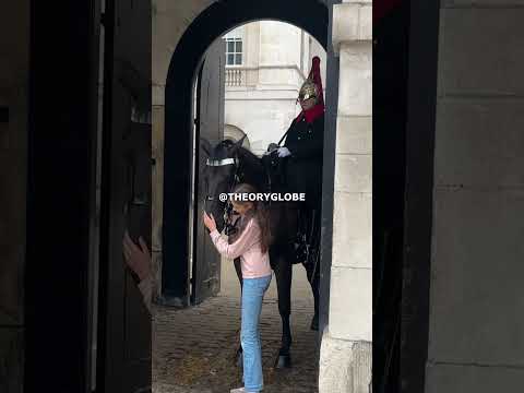 Little Girl Helps Calm Down an Anxious Horse #kingsguard #horseguardparade #royalkingsguards