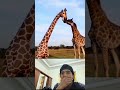 #animals #reaction #shorts #subscribe