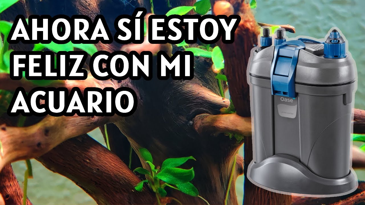 Repaso mensual a Isla Anubia #4