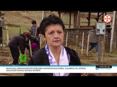 თბილისის ეთნოგრაფიული მუზეუმის ტერიტორიაზე ნუშის, იასამნისა და კვიდოს ათასობით ნერგის დარგვა დაიწყო