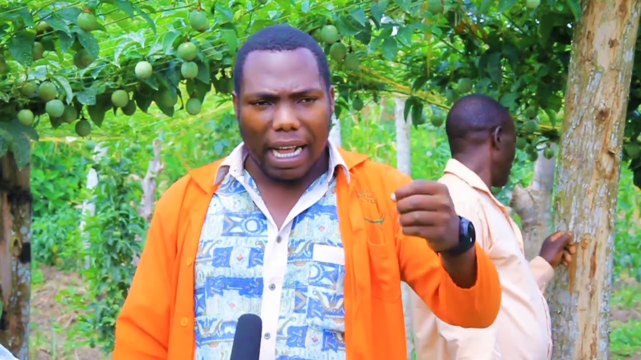 Okulima obutunda | Farm to table