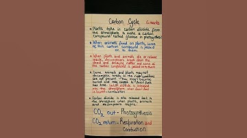 Carbon cycle GCSE Biology notes
