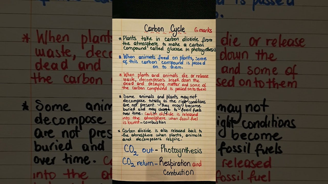 Carbon cycle GCSE Biology notes