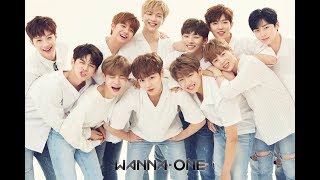 Wanna One hold their 1st 'V Live'   Kim Jae Hwan Ranks The Members by Visuals!