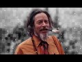 სოციალური სისტემა, როგორც ფარსი. Alan Watts