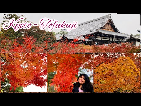 kyoto-autumn-leaves-one-of-the-top-10-places-|-tofukuji-|-kyoto-|-tamil-vlog-japan-|-தமிழ்