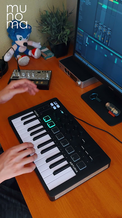 Robin S - Show Me Love (Live Loop Cover) | Minilab 3 #ableton #livelooping #arturiaminilab