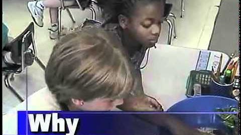 Impacting Teaching and Learning with Brain Research - preview.video.5