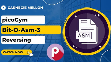 picoGym (picoCTF) Exercise: Bit-O-Asm-3