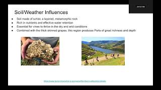 Wine Regions: Douro Portugal