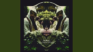 Video thumbnail of "Midlake - Winter Dies (Acoustic)"