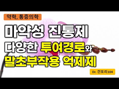 마약성진통제 다양한 투여방법, 부작용을 줄이는 약물들