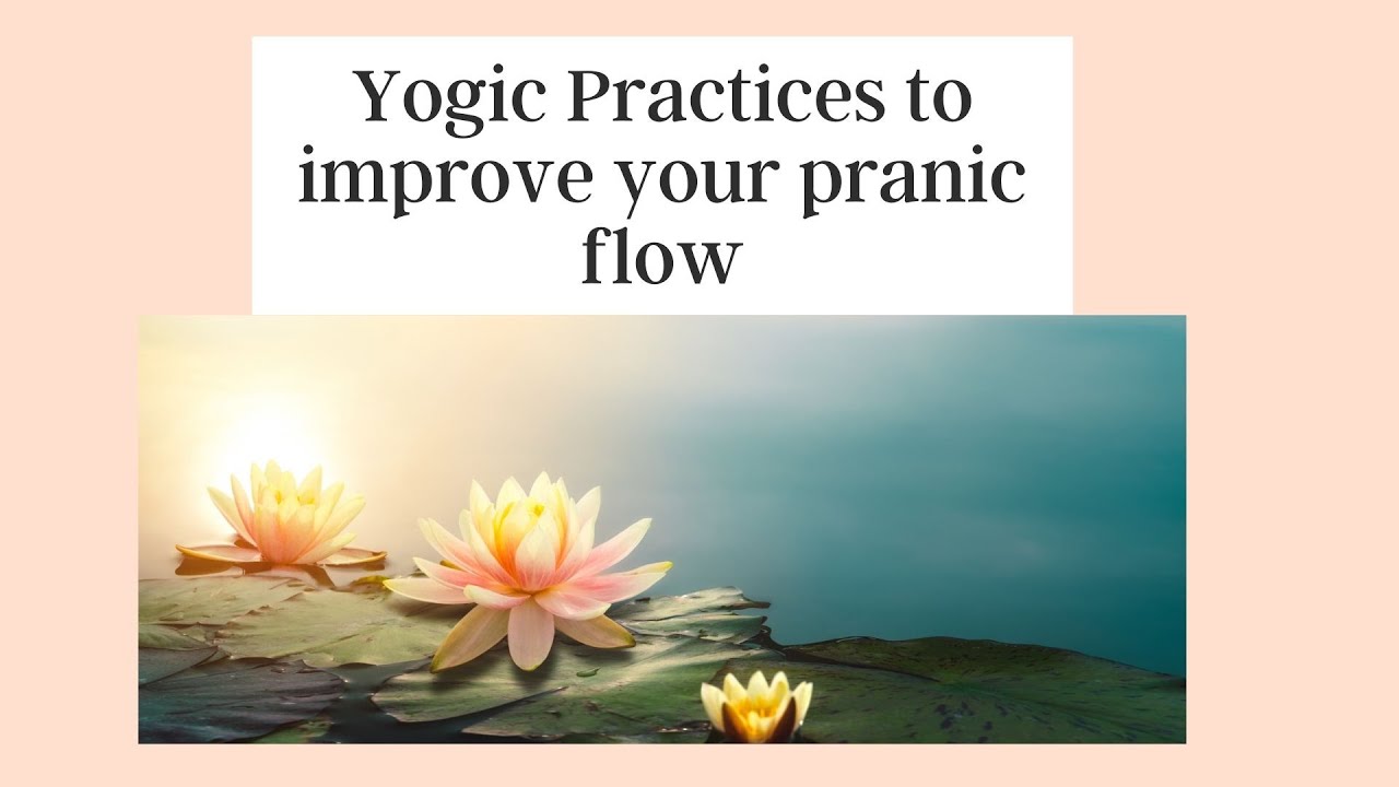 Yogic practices to enhance pranic flow I Yoga with Vani I Yoga Begins I Australia