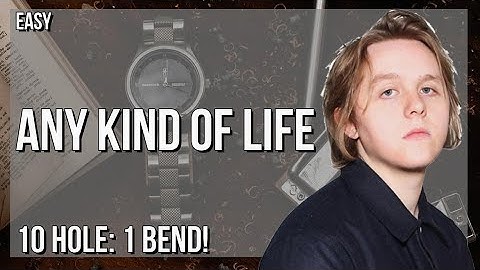 How to play Any Kind Of Life by Lewis Capaldi on Diatonic Harmonica 10 Holes (Tutorial)