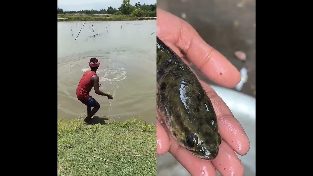 unique youtubeshorts Tempting fish🙄hook 