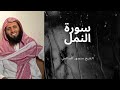 سورة النمل القارئ منصور السالمي مع صوت المطرSurah An Naml Mansour Al Salmi