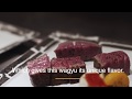 Sustainable iwate wagyu