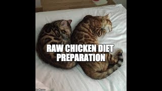 Preparing raw chicken diet for cat by Pucci Peanut 324 views 6 years ago 2 minutes, 6 seconds