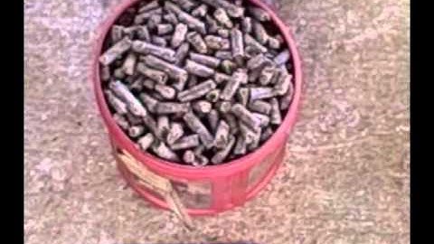 Pelleted Beet Pulp vs Shredded Beet Pulp