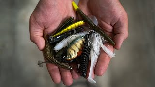 Our Top 5 Baits for June (2024)