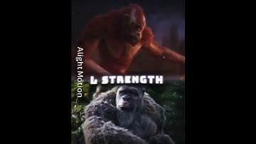 MV Elimination Wheel part 2